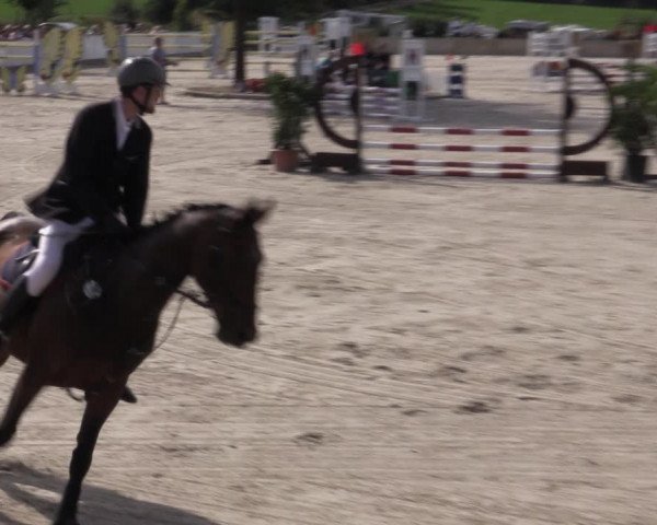 Reitturnier Oberfrauendorf 2020