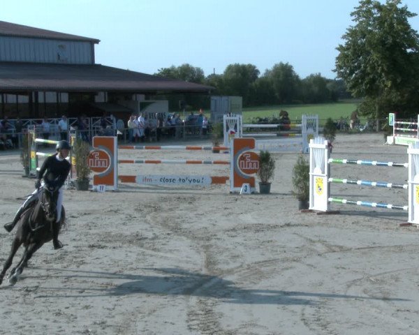 Reitturnier Appelhülsen 2020
