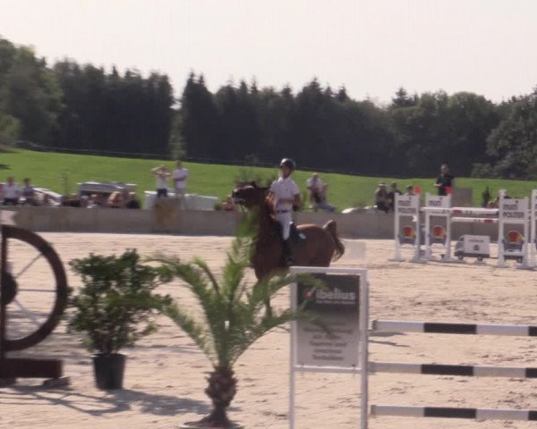 Reitturnier Oberfrauendorf 2020