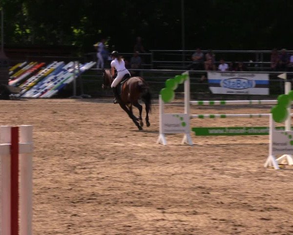 Reitturnier Lgl.-Oberhain, B95 2020