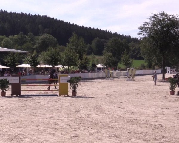 Reitturnier Oberfrauendorf 2020