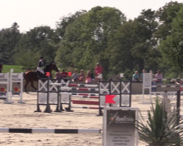 Reitturnier Oberfrauendorf 2020