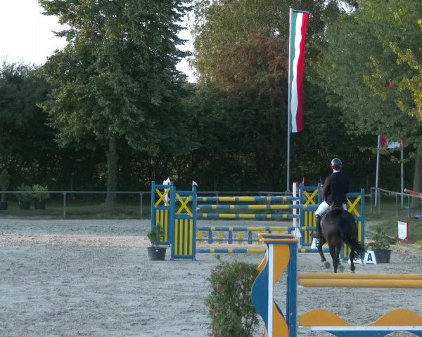 Reitturnier Appelhülsen 2020