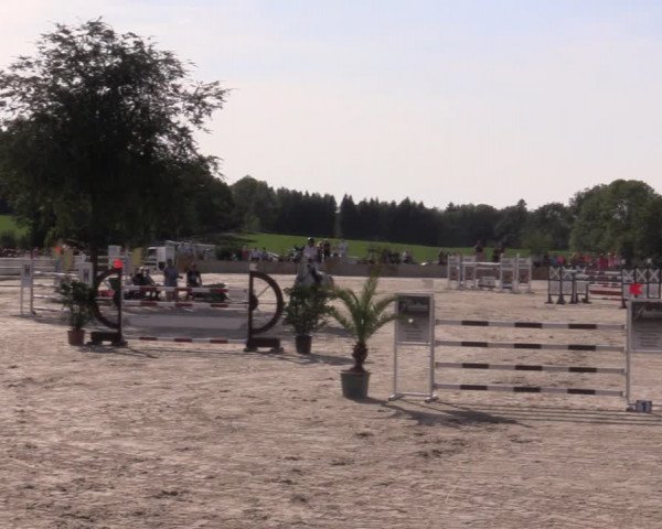 Reitturnier Oberfrauendorf 2020