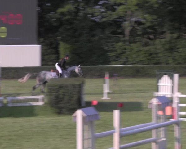 Reitturnier Westeregeln 2020