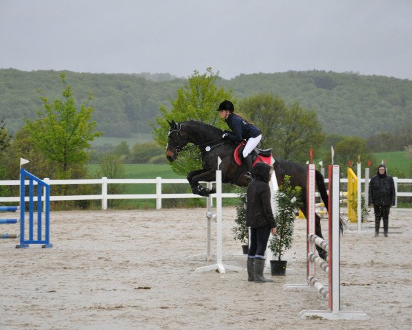 jumper Akrobat 123 (Westphalian, 2001, from Akribori)