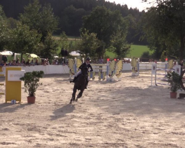 Reitturnier Oberfrauendorf 2020