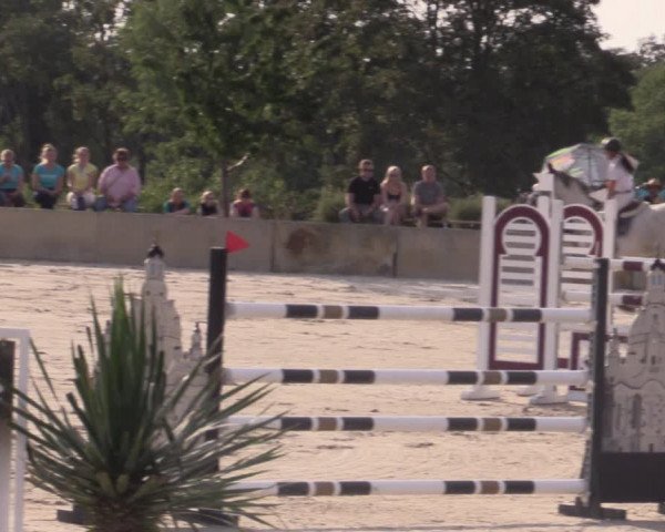 Reitturnier Oberfrauendorf 2020