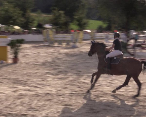 Reitturnier Oberfrauendorf 2020