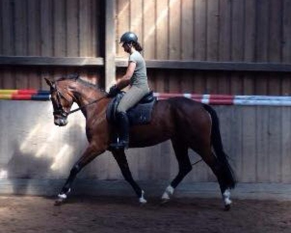 horse Mala (Bavarian, 2010, from Asti Spumante 7)