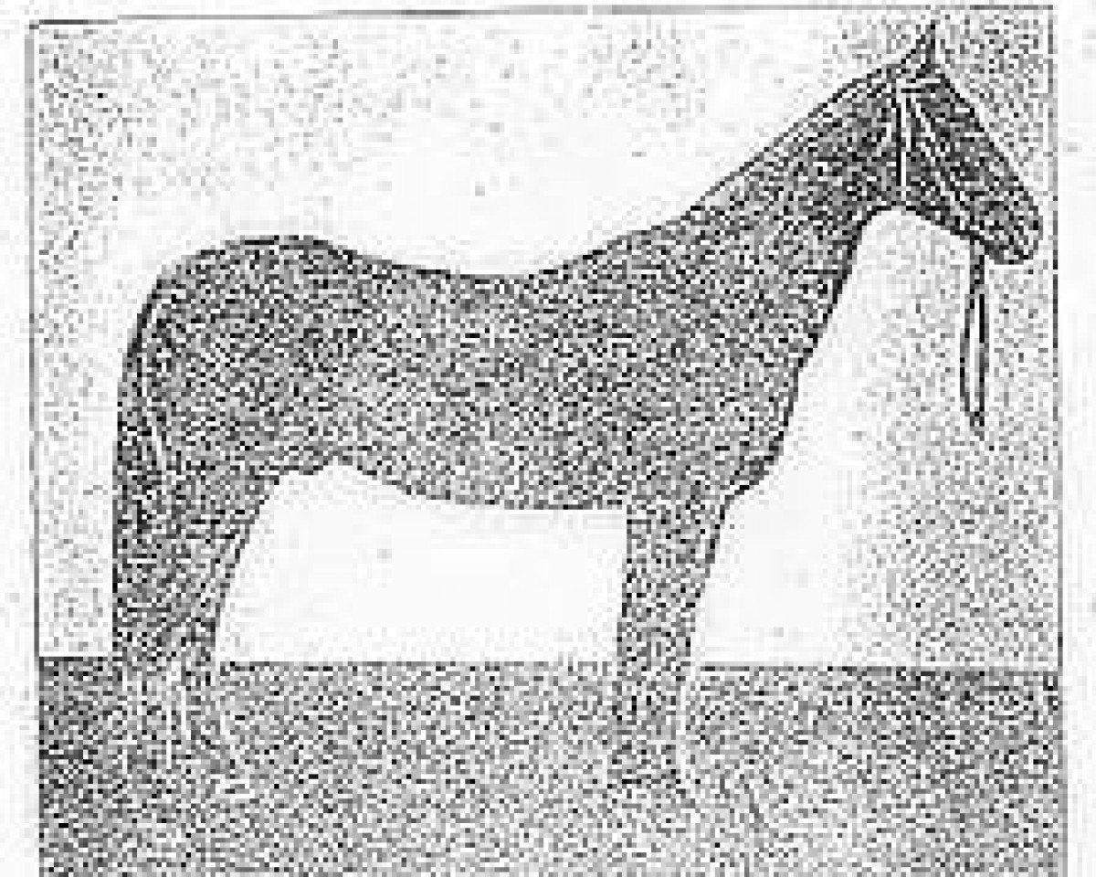 Deckhengst Mamed (Achal Tekkiner, 1925, von Toporbai)