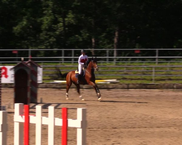 Reitturnier Lgl.-Oberhain, B95 2020