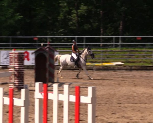 Reitturnier Lgl.-Oberhain, B95 2020