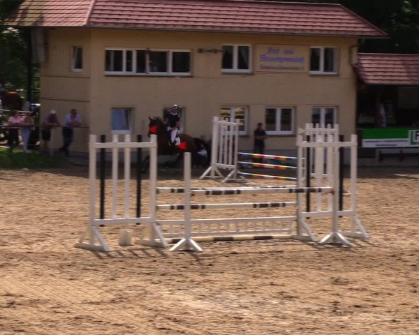 Reitturnier Lgl.-Oberhain, B95 2020