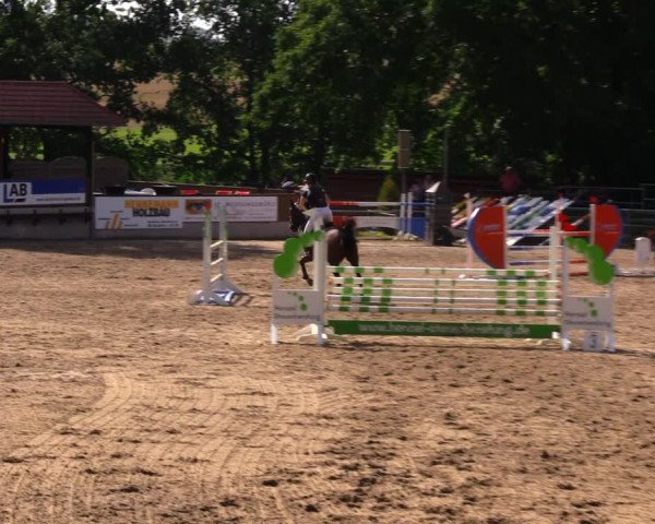 Reitturnier Lgl.-Oberhain, B95 2020