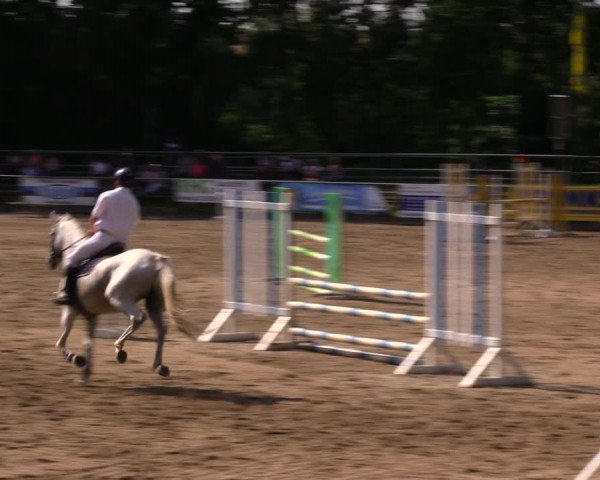 Reitturnier Lgl.-Oberhain, B95 2020