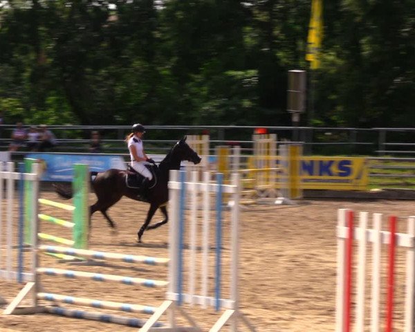 Reitturnier Lgl.-Oberhain, B95 2020