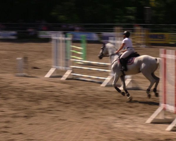 Reitturnier Lgl.-Oberhain, B95 2020