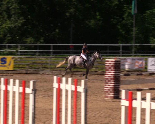Reitturnier Lgl.-Oberhain, B95 2020