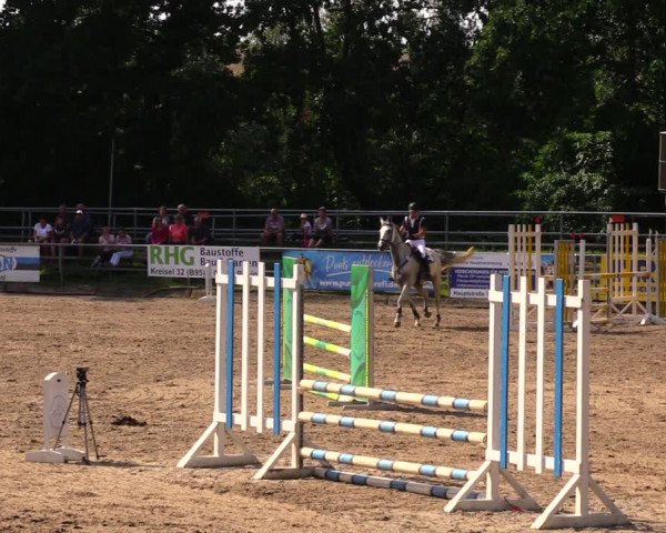 Reitturnier Lgl.-Oberhain, B95 2020