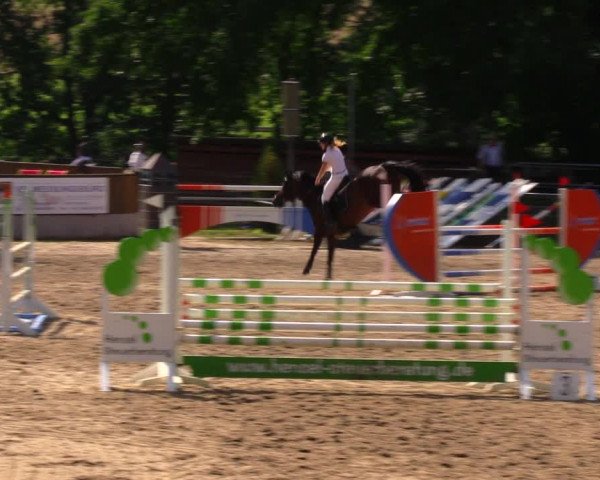 Reitturnier Lgl.-Oberhain, B95 2020