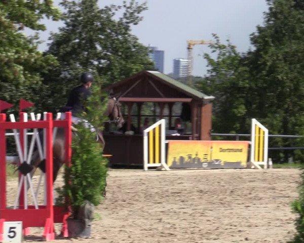 Reitturnier Dortmund-Barop 2020