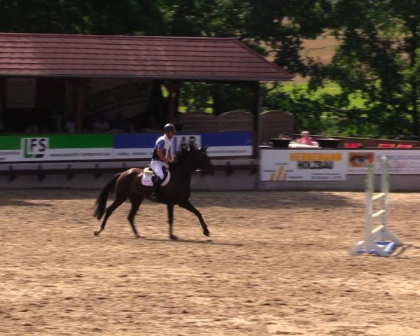Reitturnier Lgl.-Oberhain, B95 2020