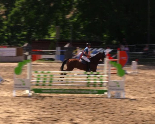 Reitturnier Lgl.-Oberhain, B95 2020