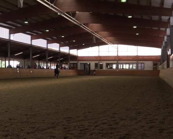 Reitturnier Appelhülsen 2020