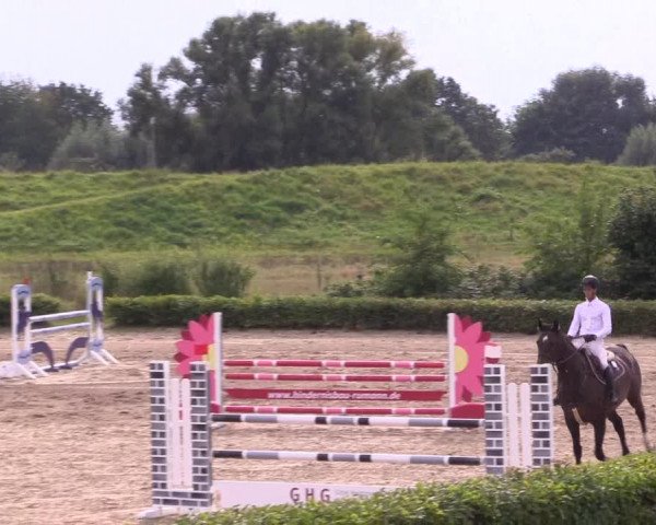 Spring Late Entry Gut Hohenkamp / Dorsten 2021