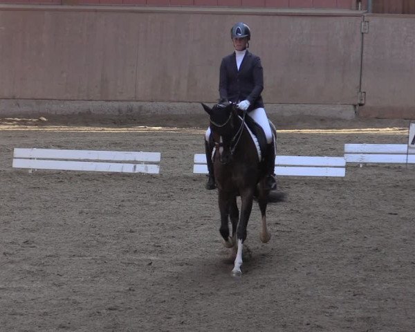 Reitturnier Dortmund-Barop 2020