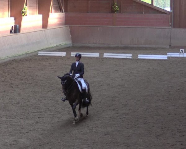 Reitturnier Dortmund-Barop 2020