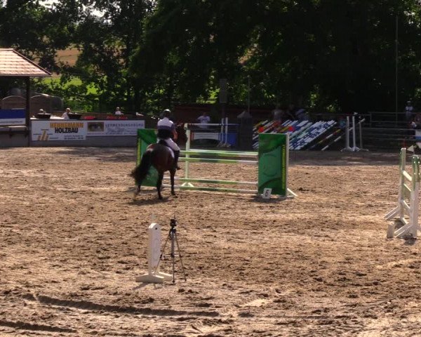 Reitturnier Lgl.-Oberhain, B95 2020