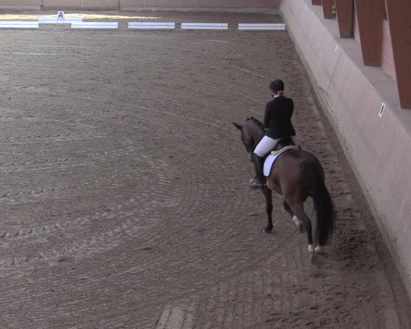 Reitturnier Dortmund-Barop 2020