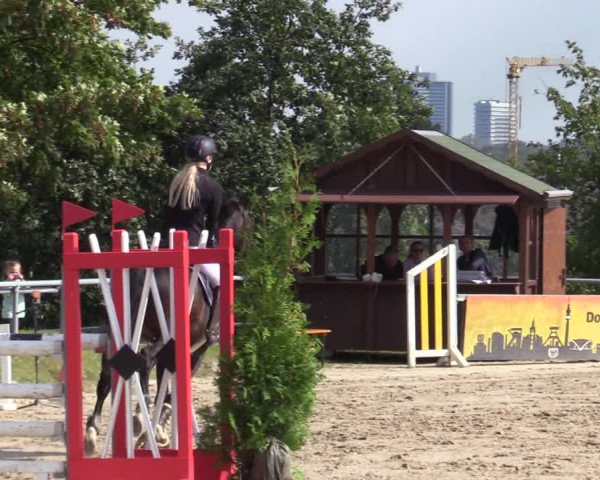 Reitturnier Dortmund-Barop 2020