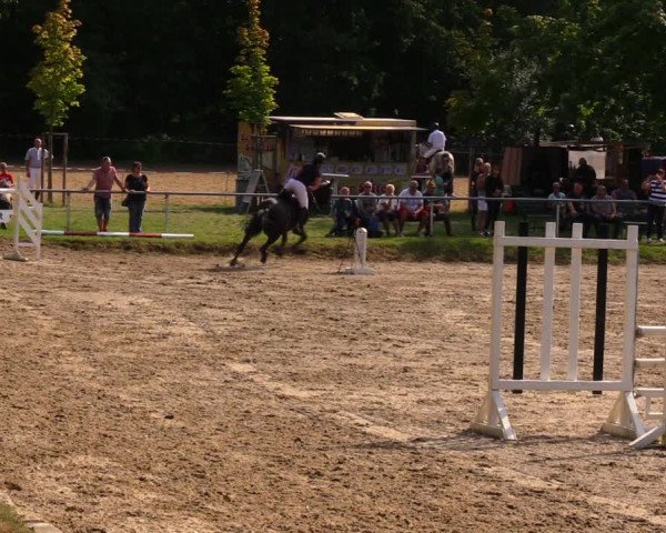 Reitturnier Lgl.-Oberhain, B95 2020