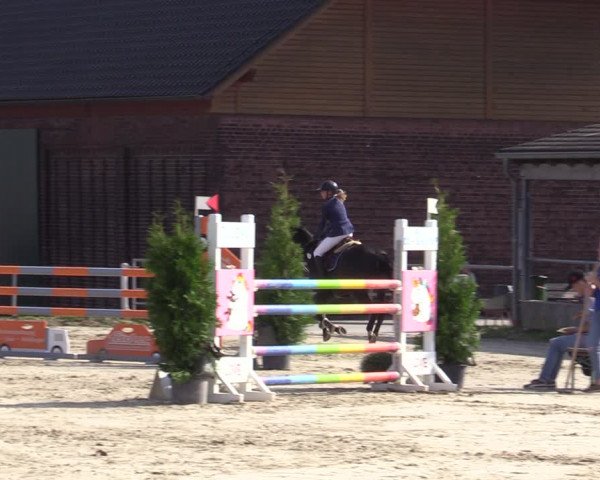 Reitturnier Dortmund-Barop 2020