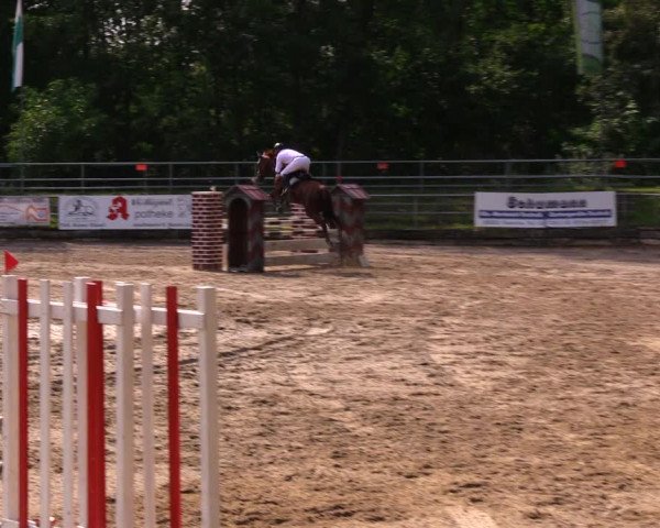 Reitturnier Lgl.-Oberhain, B95 2020