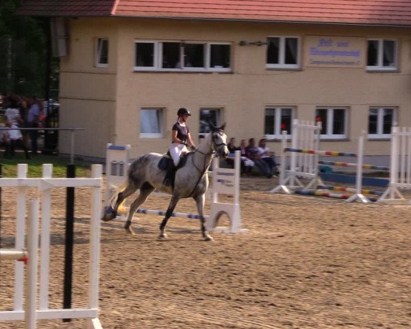 Reitturnier Lgl.-Oberhain, B95 2020
