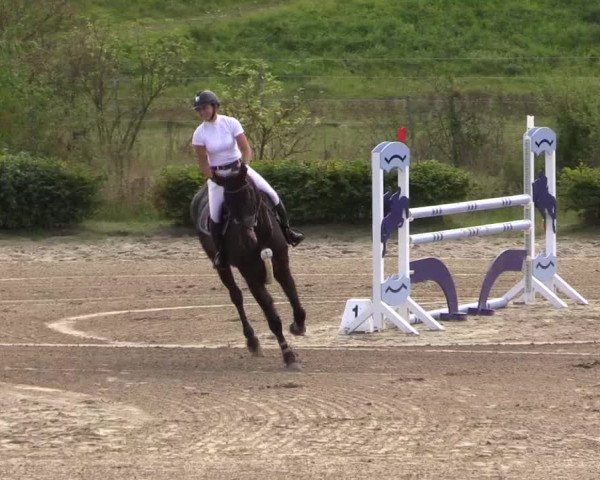 Spring Late Entry Gut Hohenkamp / Dorsten 2021