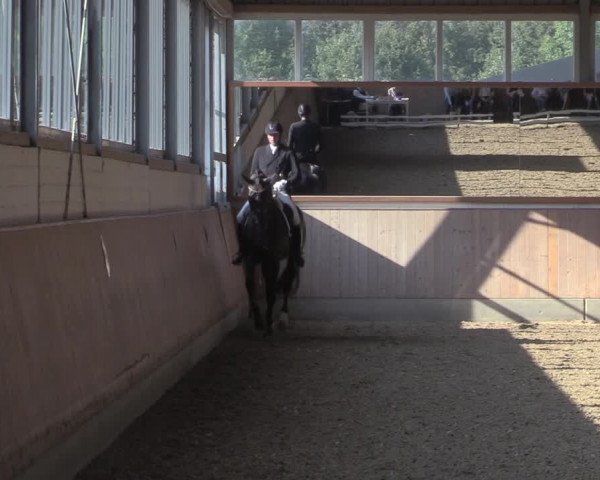 Reitturnier Gut Hohenkamp / Dorsten 2020