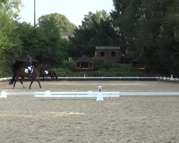 Reitturnier Mettmann - Reitanlage Löckenhoff 2020