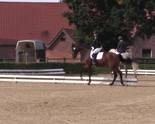 Reitturnier Ochtrup 2020