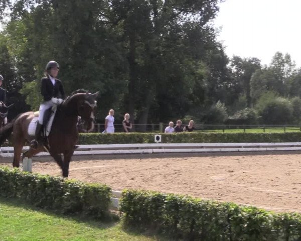 Reitturnier Ochtrup 2020