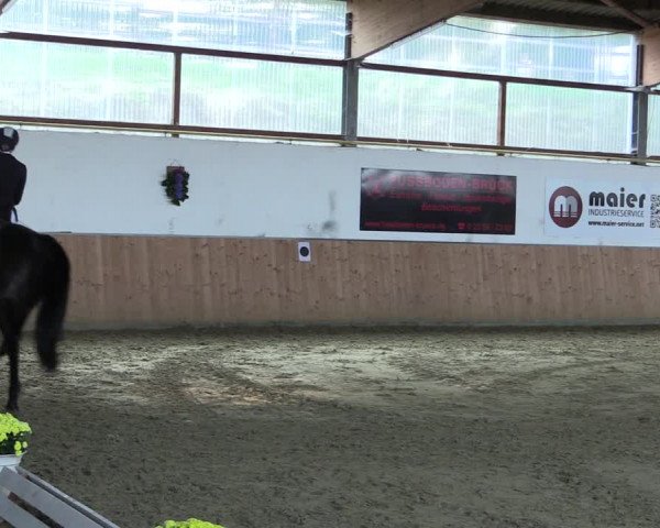 Reitturnier Meinerzhagen 2020
