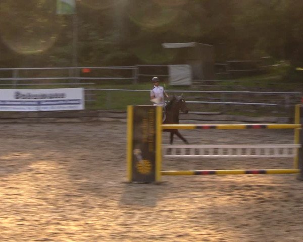 Reitturnier Lgl.-Oberhain, B95 2020