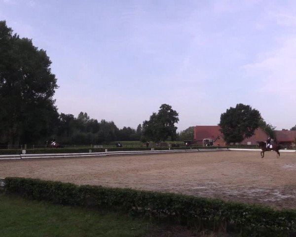 Reitturnier Ochtrup 2020