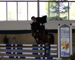 Springpferd Chamiro 7 (Österreichisches Warmblut, 2006, von Jamp of Class)