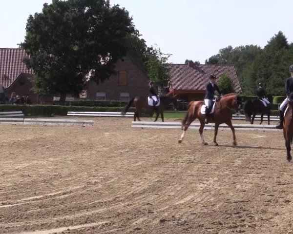 Reitturnier Ochtrup 2020