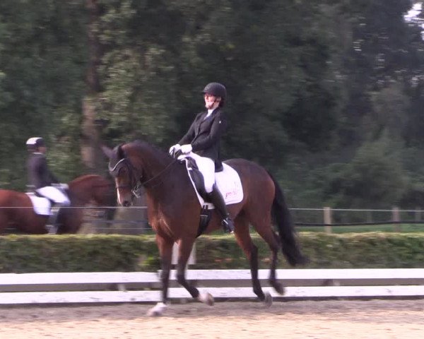 Reitturnier Ochtrup 2020